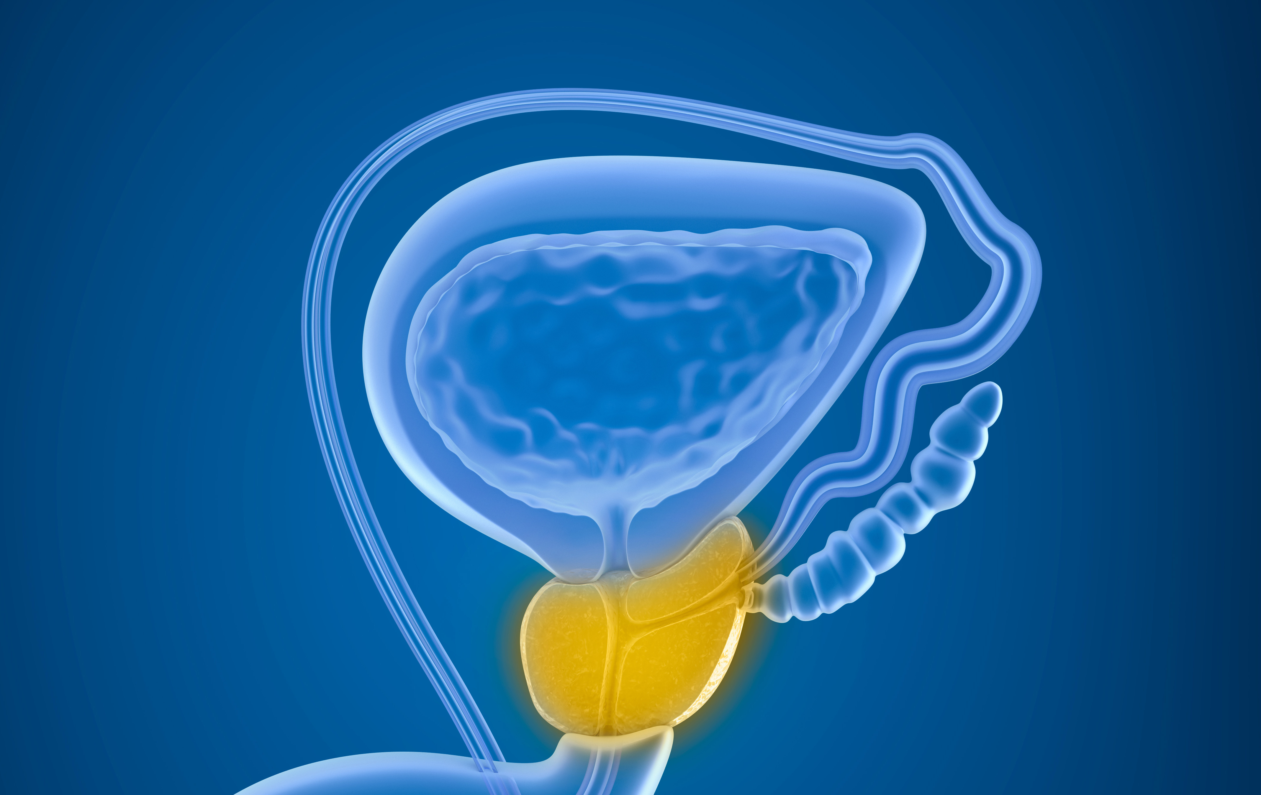 Činjenice o prostatitisu | Zdravlje i prevencija, muško zdravlje, magazin